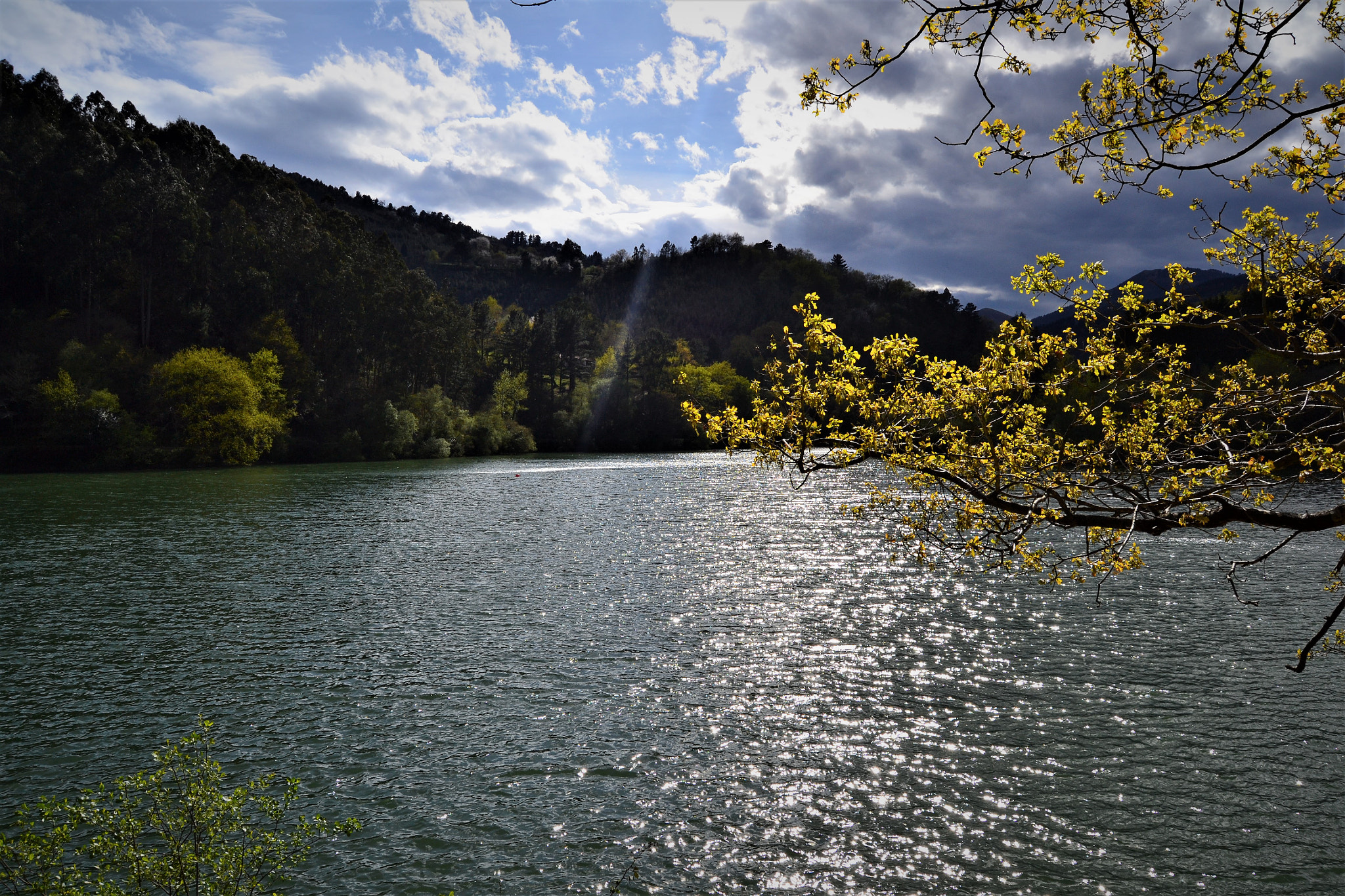 Nikon D3100 sample photo. Grandeza photography