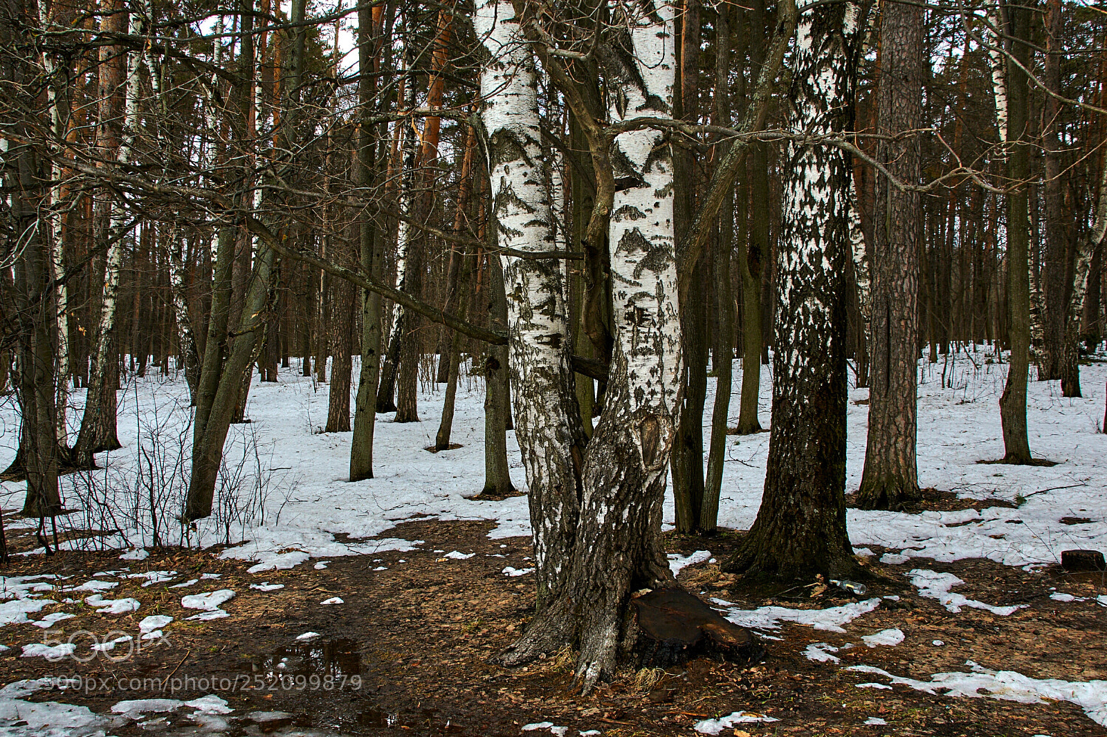 Nikon D5300 sample photo. Untitled photography