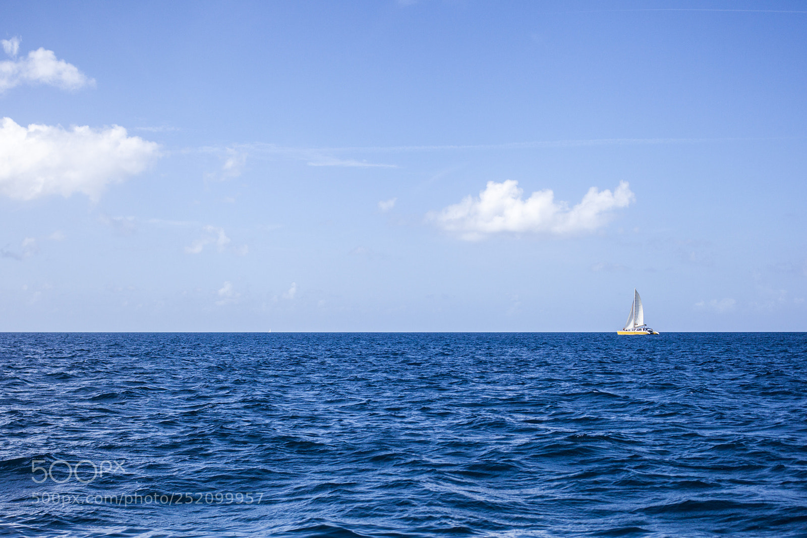 Canon EOS 5D Mark II sample photo. Solo photography