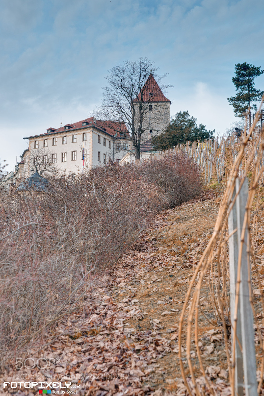 Nikon D600 sample photo. Praha / prague photography