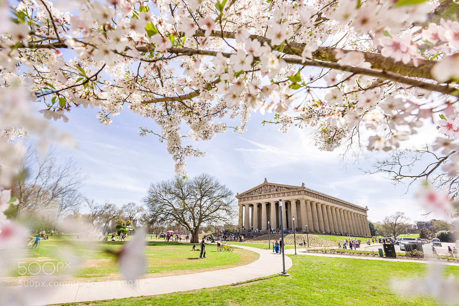 Nikon D800 sample photo. Blossom and partenon in photography
