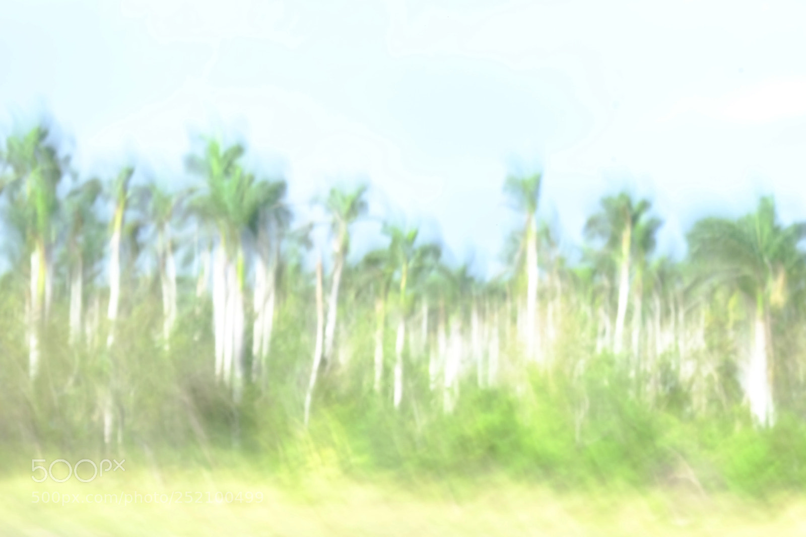 Fujifilm X-E2S sample photo. Untitled photography