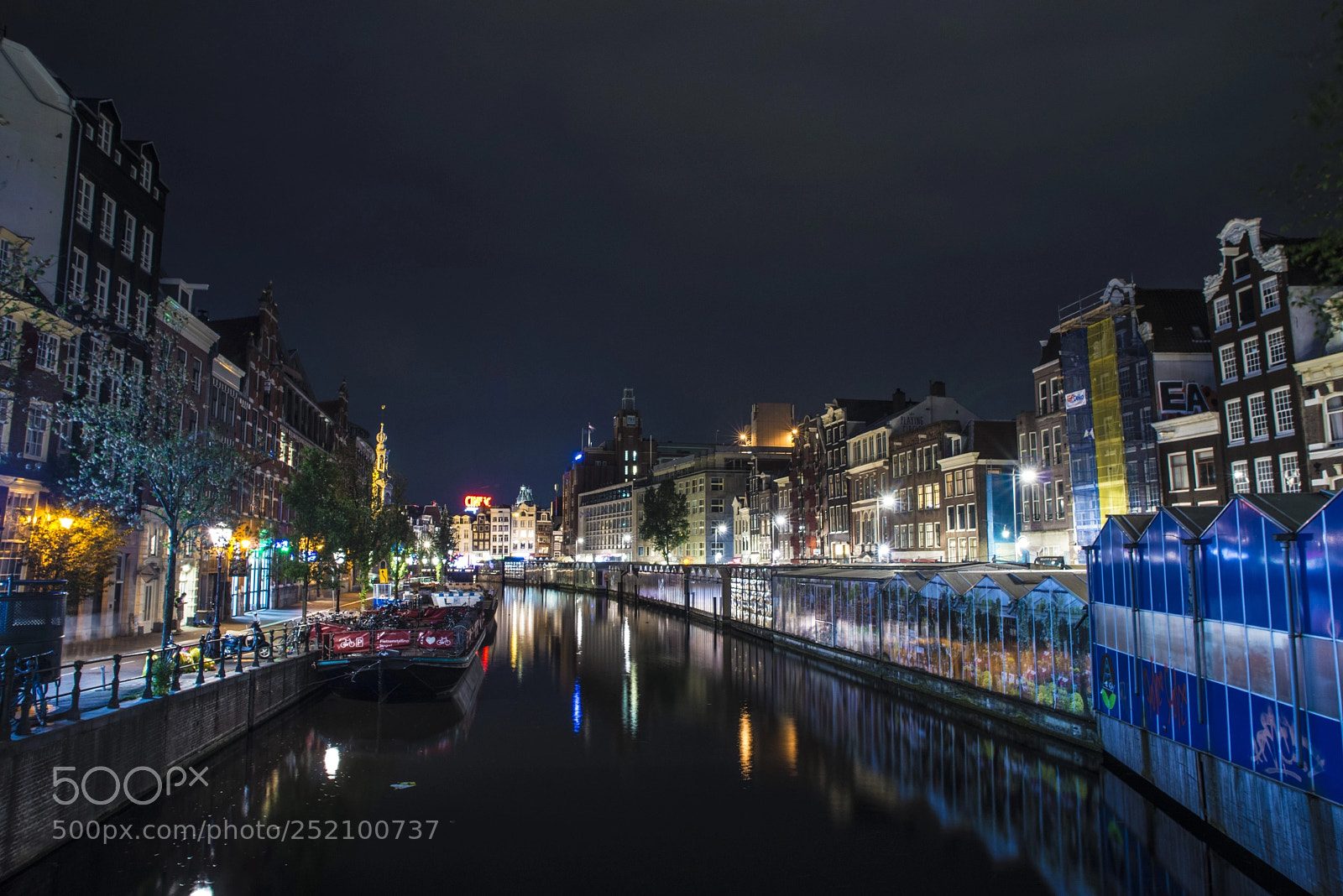 Nikon D800 sample photo. Roaming at night in photography