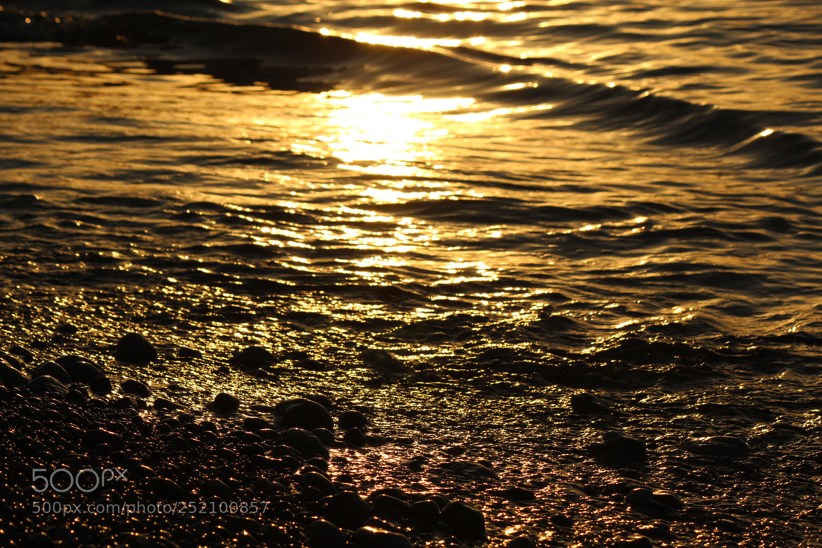 Canon EF-S 55-250mm F4-5.6 IS II sample photo. Harmony photography