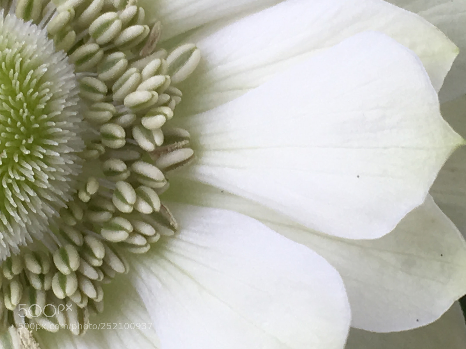 Apple iPhone 6s sample photo. Untitled photography