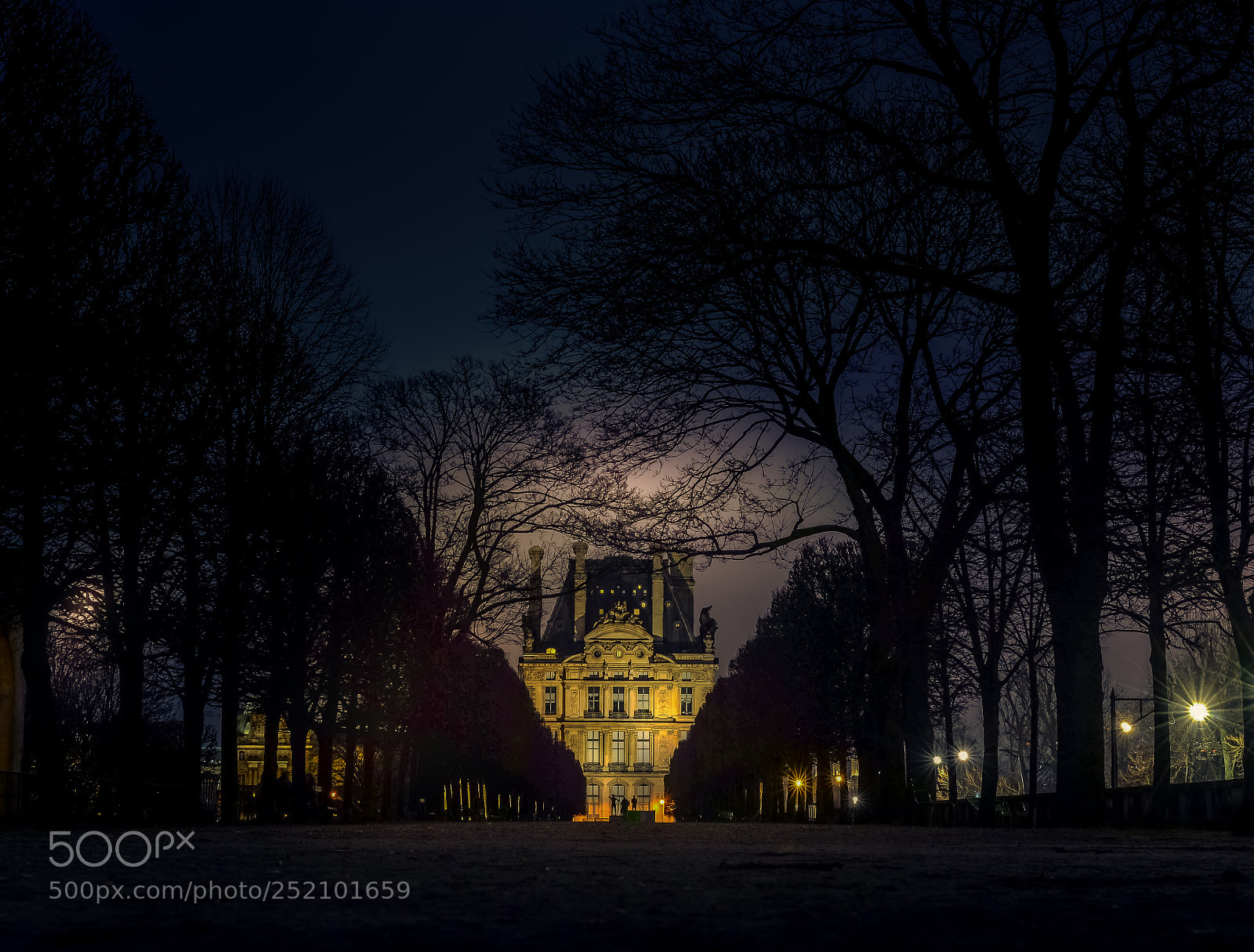 Nikon D610 sample photo. The louvre photography