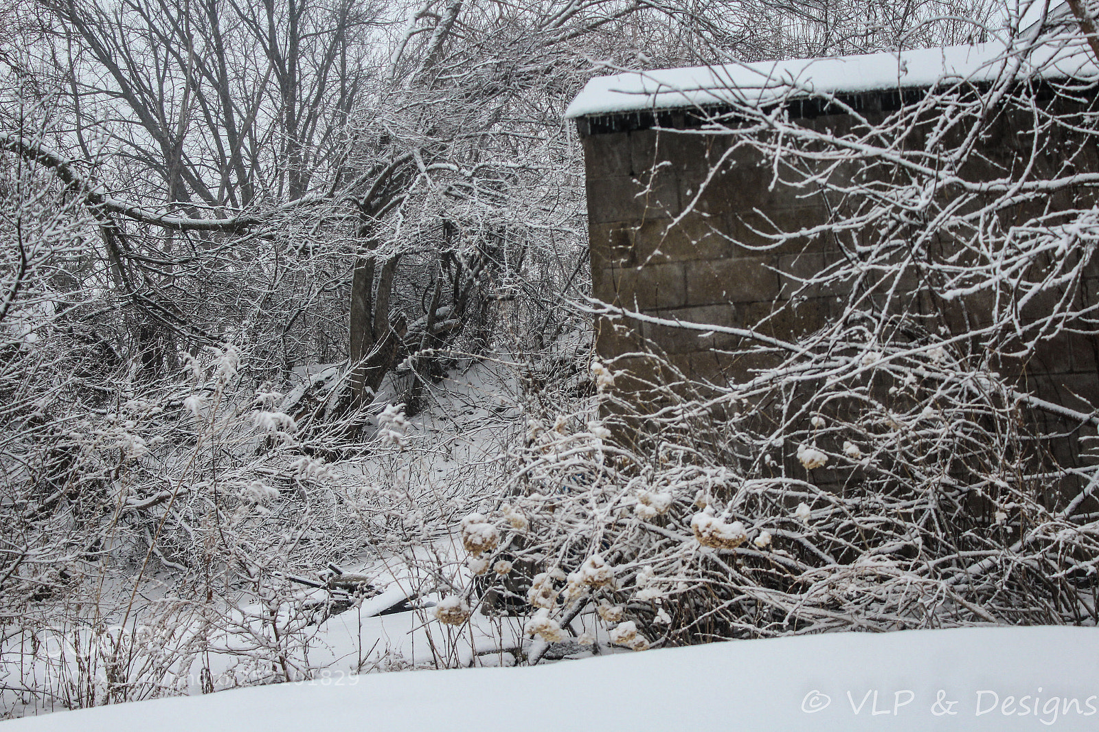 Canon EOS 1200D (EOS Rebel T5 / EOS Kiss X70 / EOS Hi) sample photo. Snow blanket photography