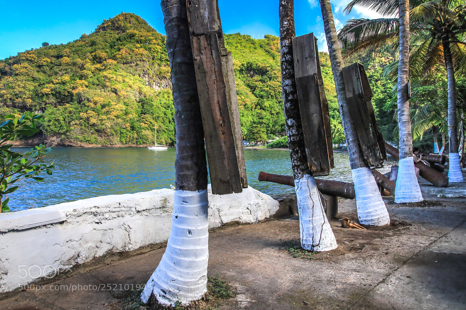 Canon EOS 5D Mark IV sample photo. St. vincent 3 photography