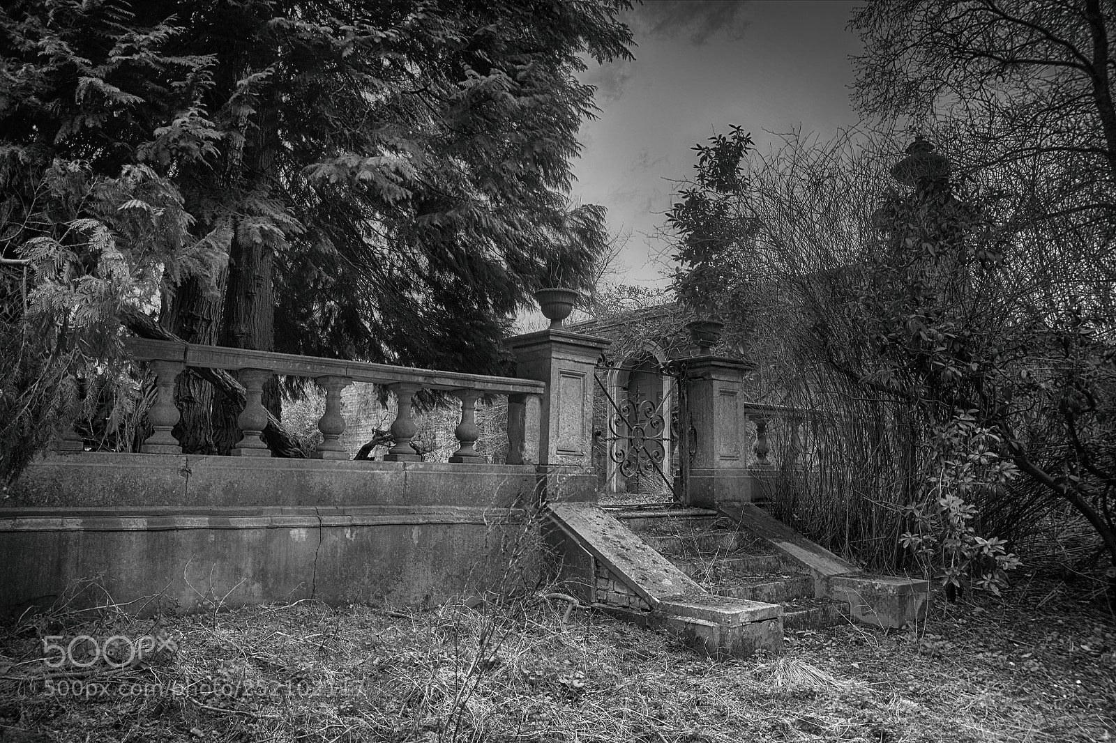 Nikon D7200 sample photo. Stagenhoe, disused entrance photography