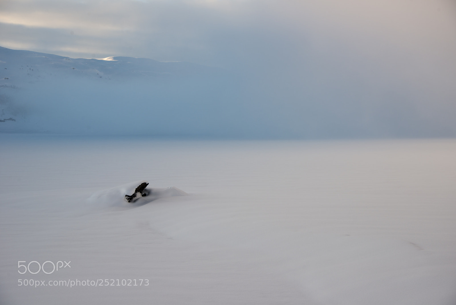 Nikon D800 sample photo. Frost photography
