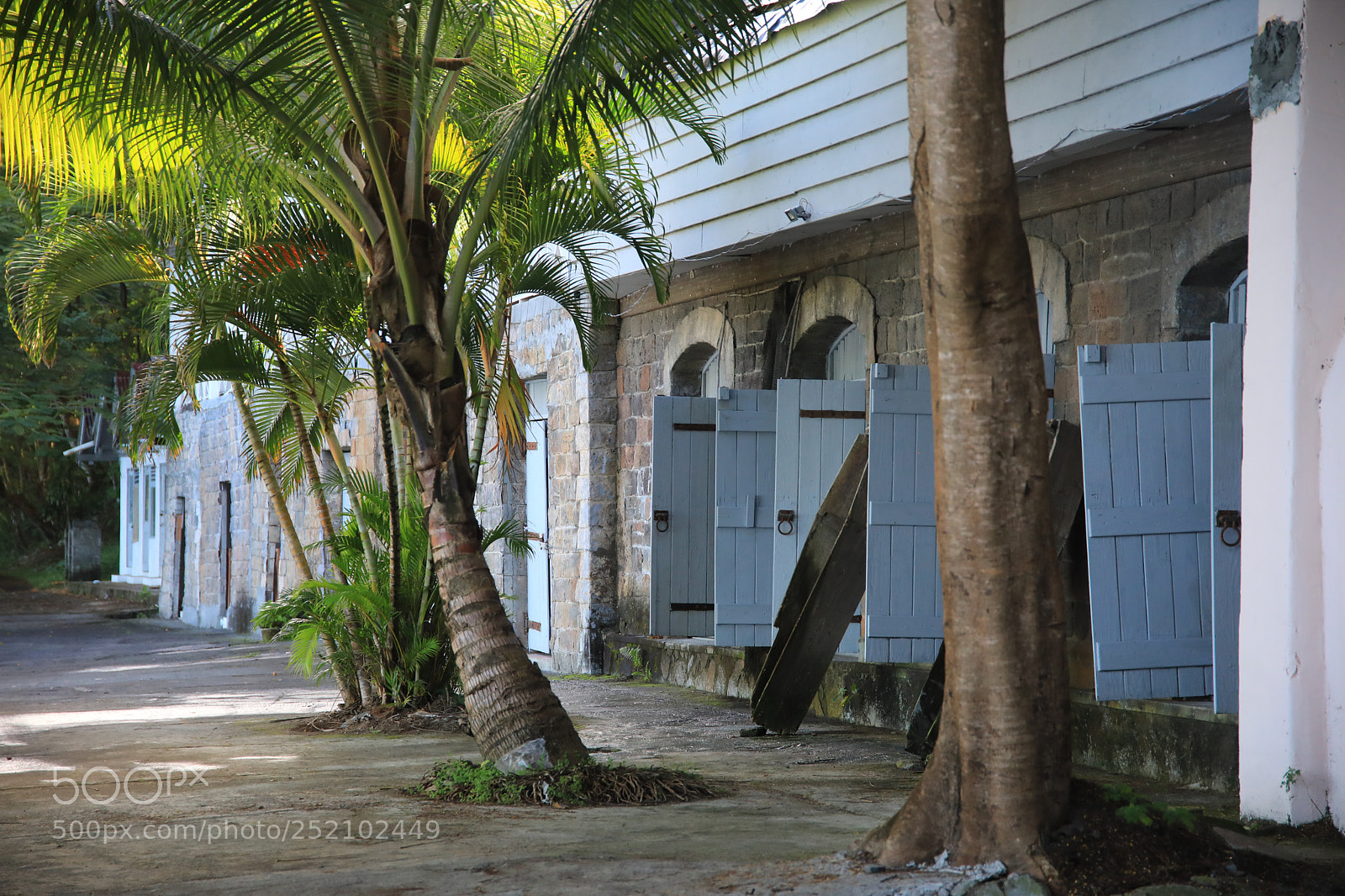 Canon EOS 5D Mark IV sample photo. St. vincent 4 photography
