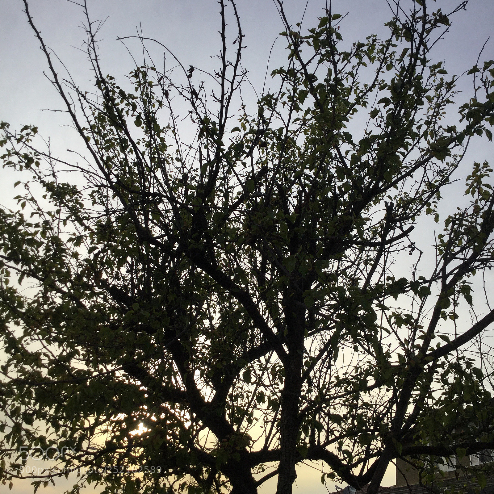 Apple iPod touch sample photo. Untitled photography