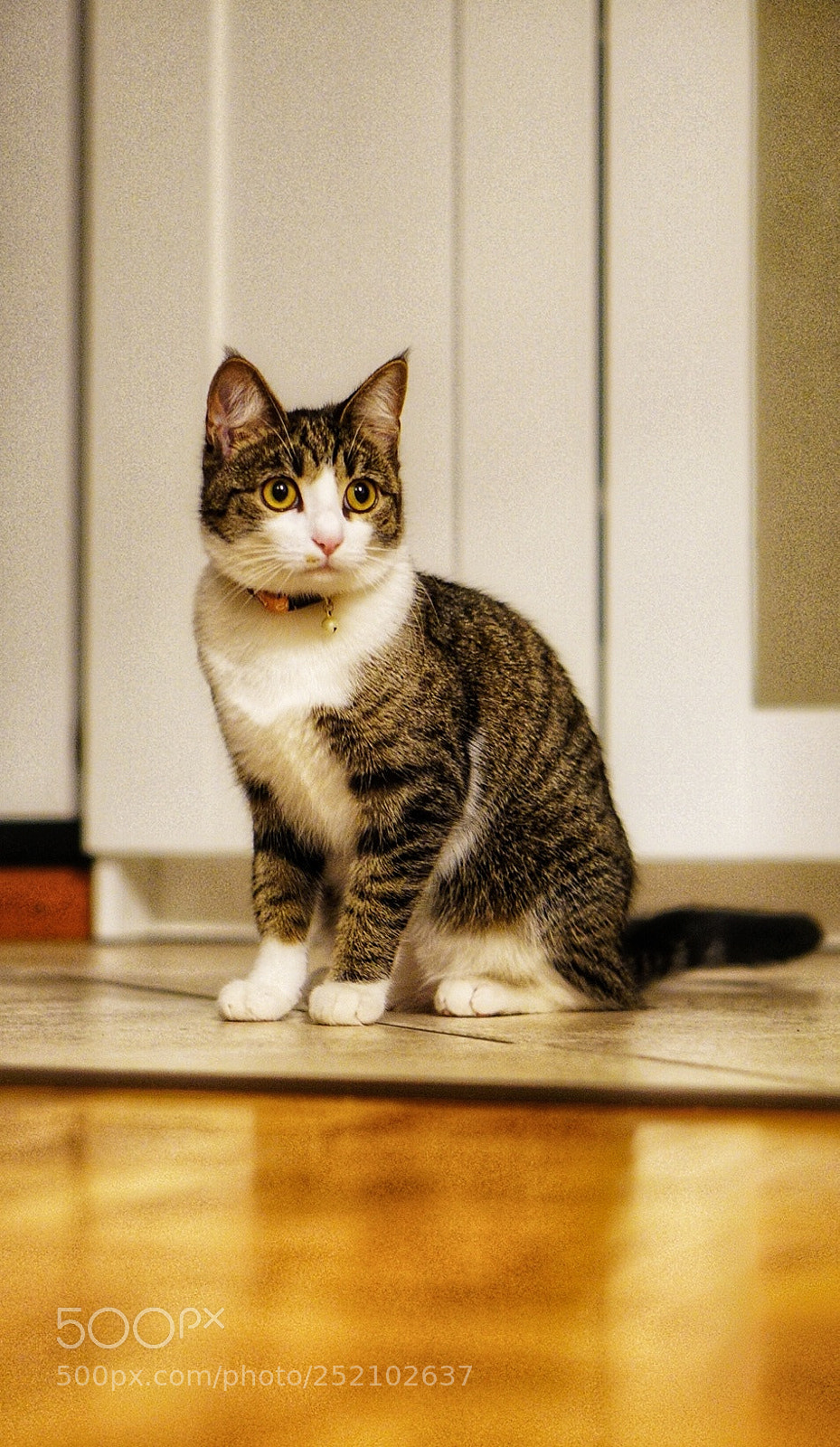 Sony a6000 sample photo. Gigi photography