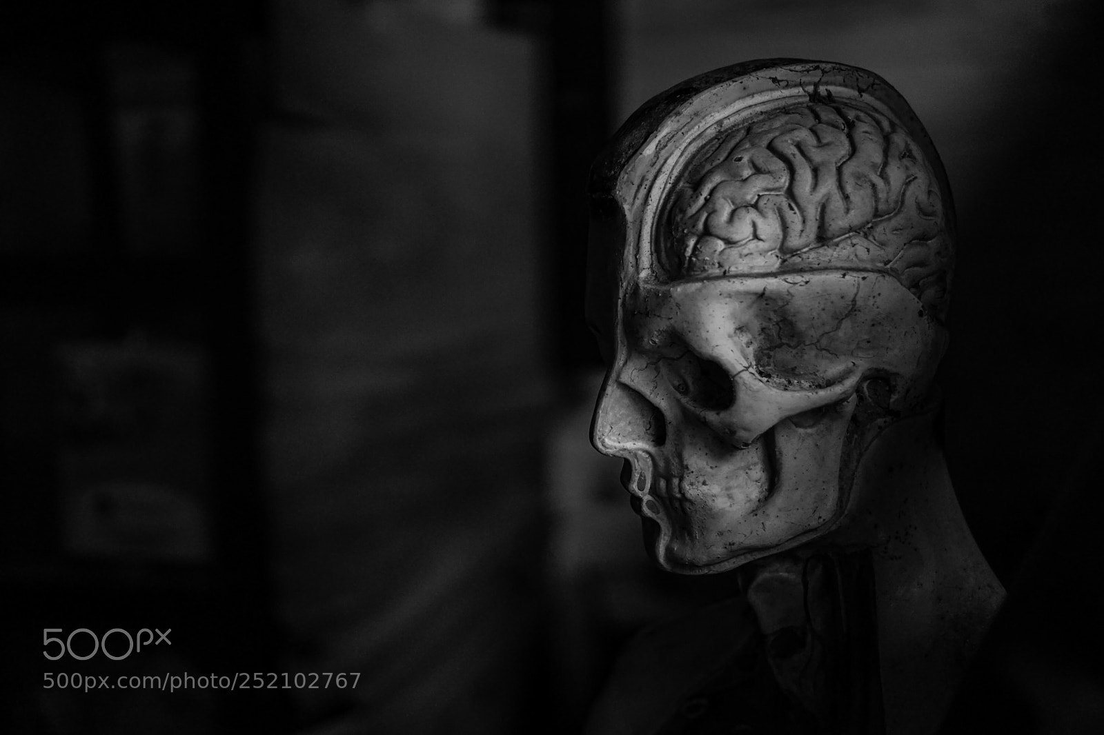 Sony a6000 sample photo. Two-face photography