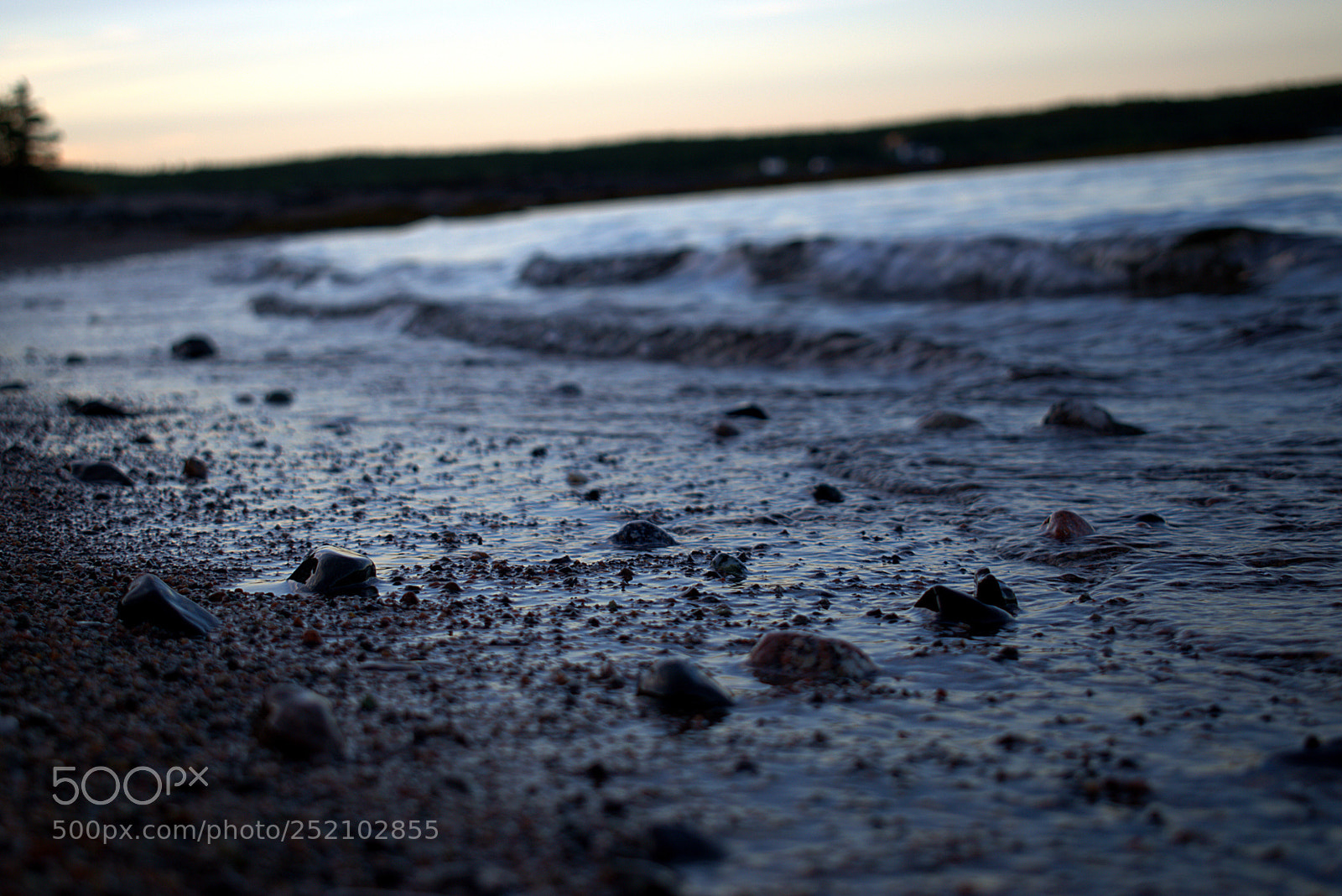 Nikon D5600 sample photo. Summer days photography