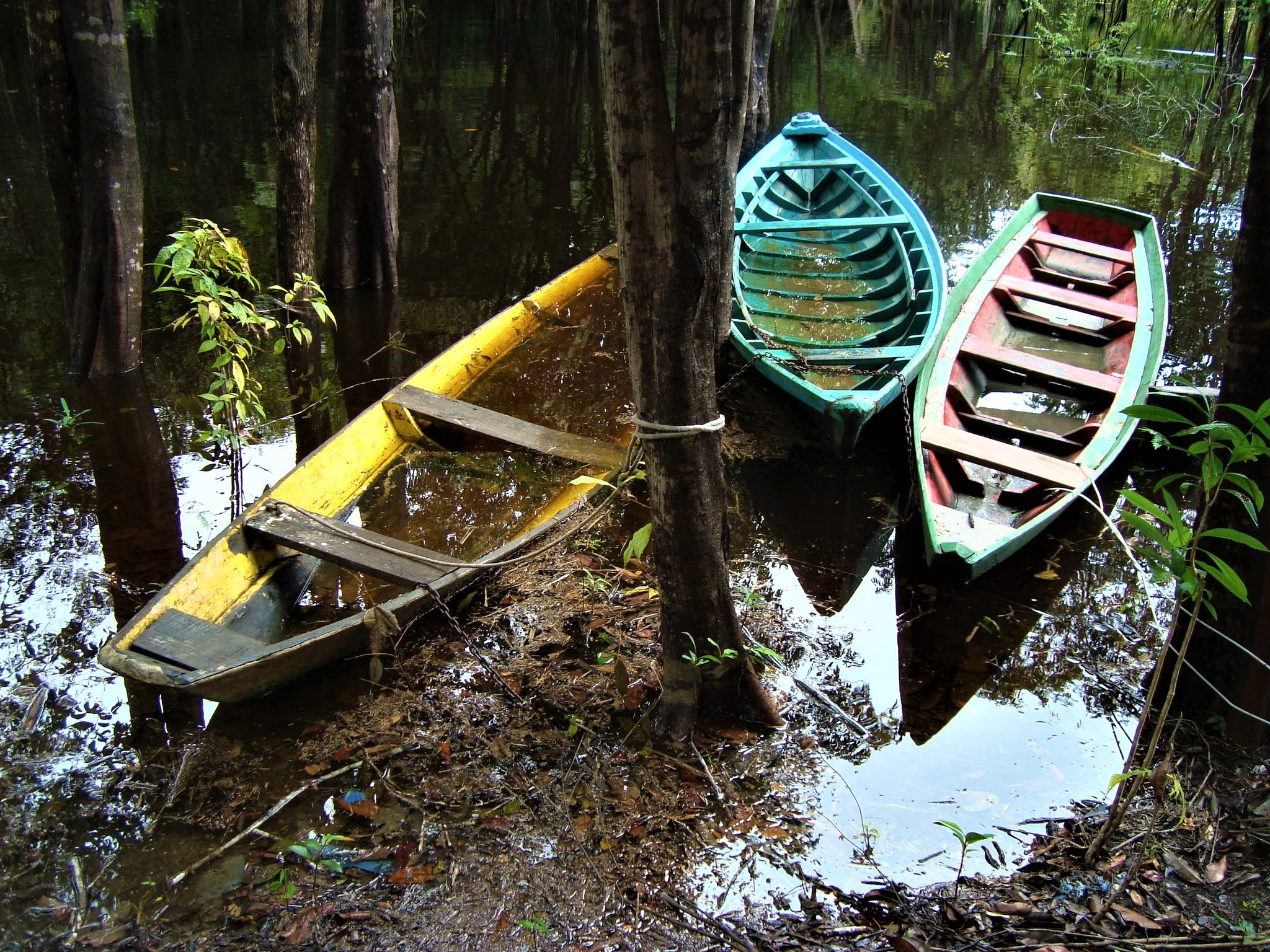 Sony Cyber-shot DSC-W110 sample photo. Old canoes on the amazon river photography