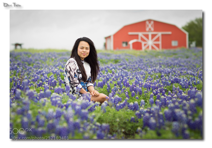 Canon EOS-1D Mark IV sample photo. Beauty and the wildflowers photography