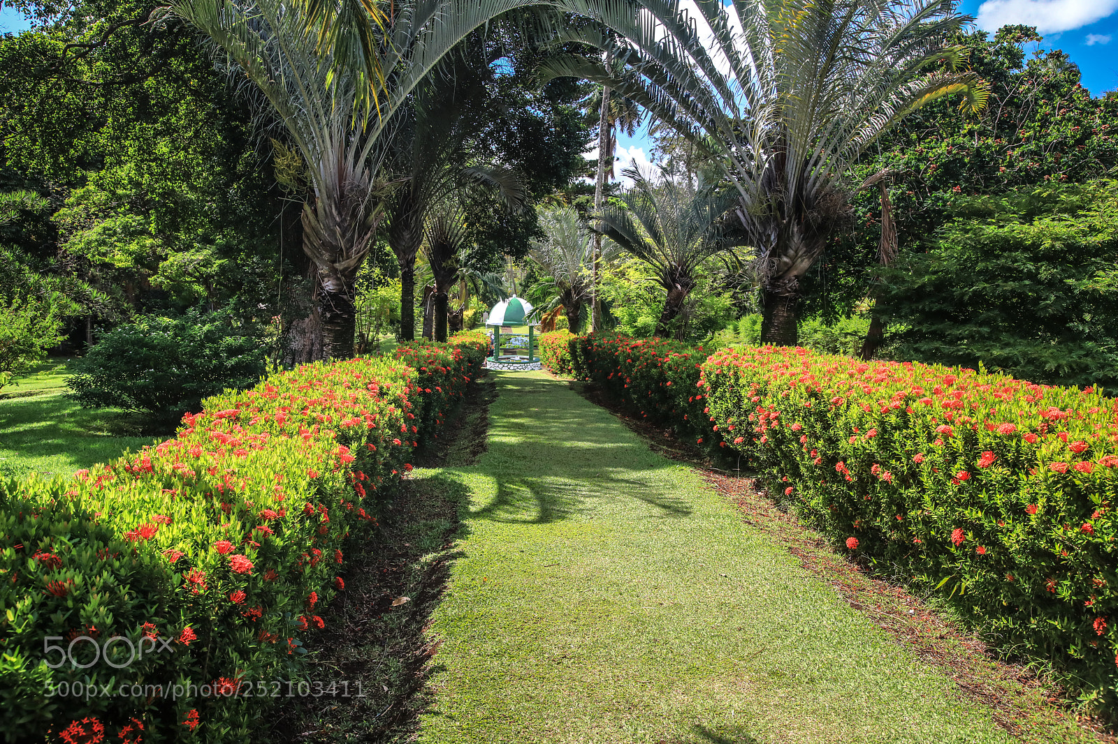 Canon EOS 5D Mark IV sample photo. St. vincent 11 photography