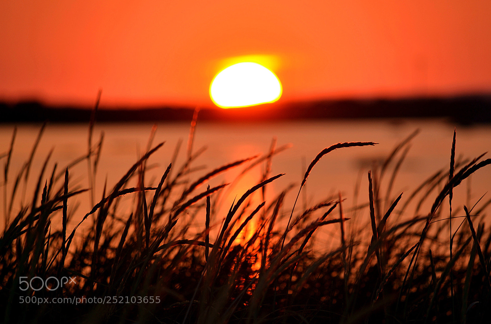Nikon D3100 sample photo. Warm sunset photography