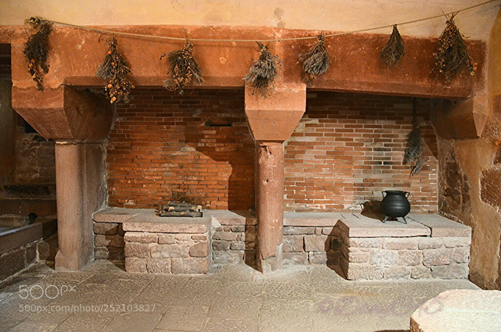 Nikon D5100 sample photo. Alsace (31) photography