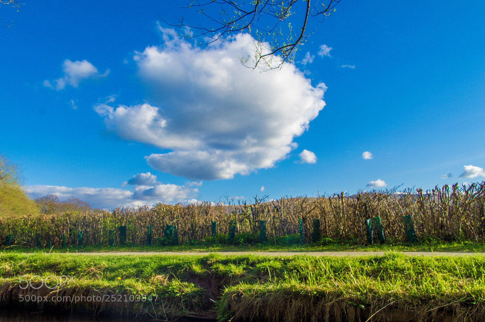 Nikon D3200 sample photo. A beautiful sumners day photography