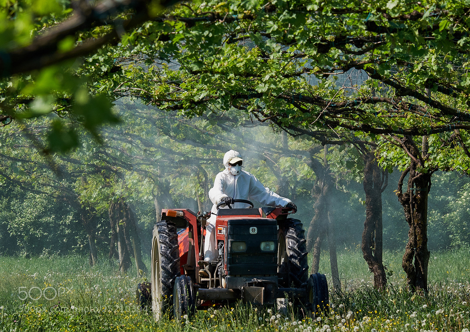 Fujifilm X-T1 sample photo. Vineyard treatment photography