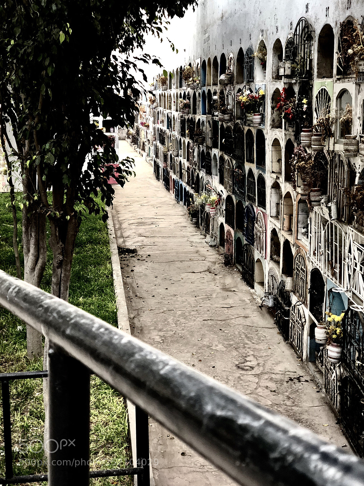 Apple iPhone X sample photo. La muerte es solo photography