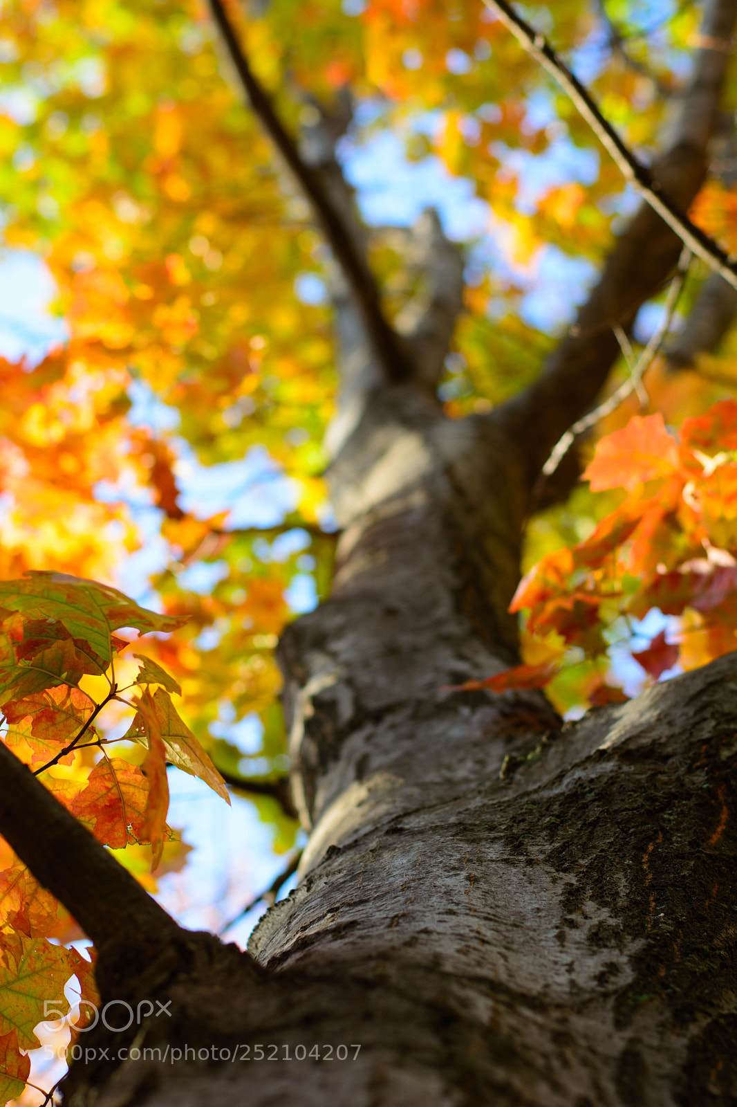 Nikon D5200 sample photo. Last stand photography