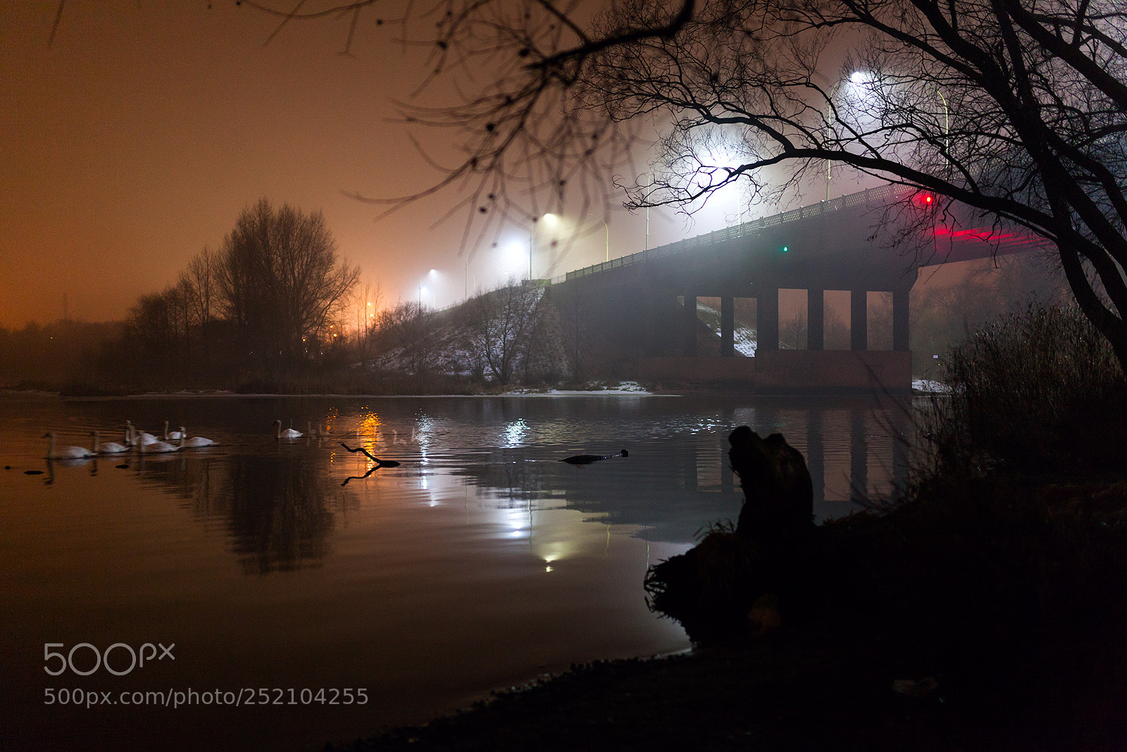 Canon EOS 5D Mark II sample photo. Untitled photography