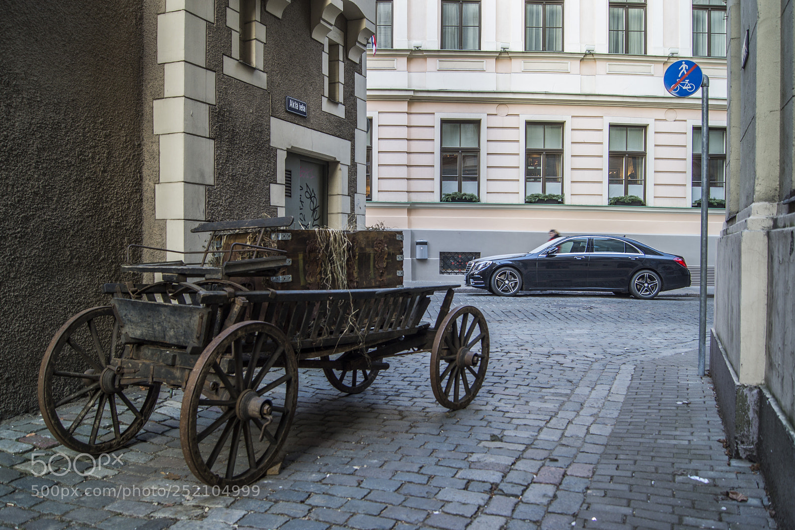 Sony SLT-A77 sample photo. Evolution photography