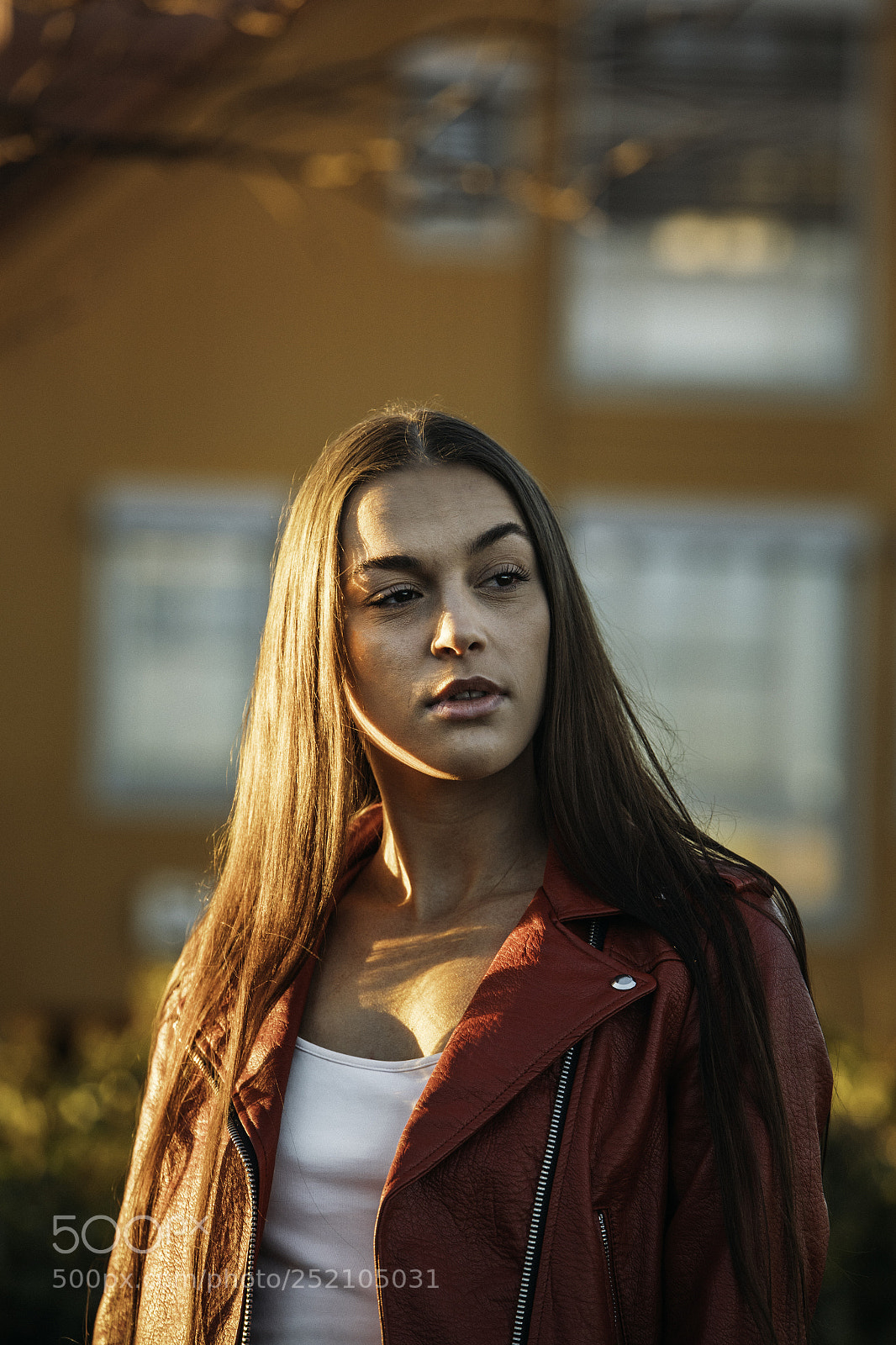 Canon EOS-1D X Mark II sample photo. Ani photography