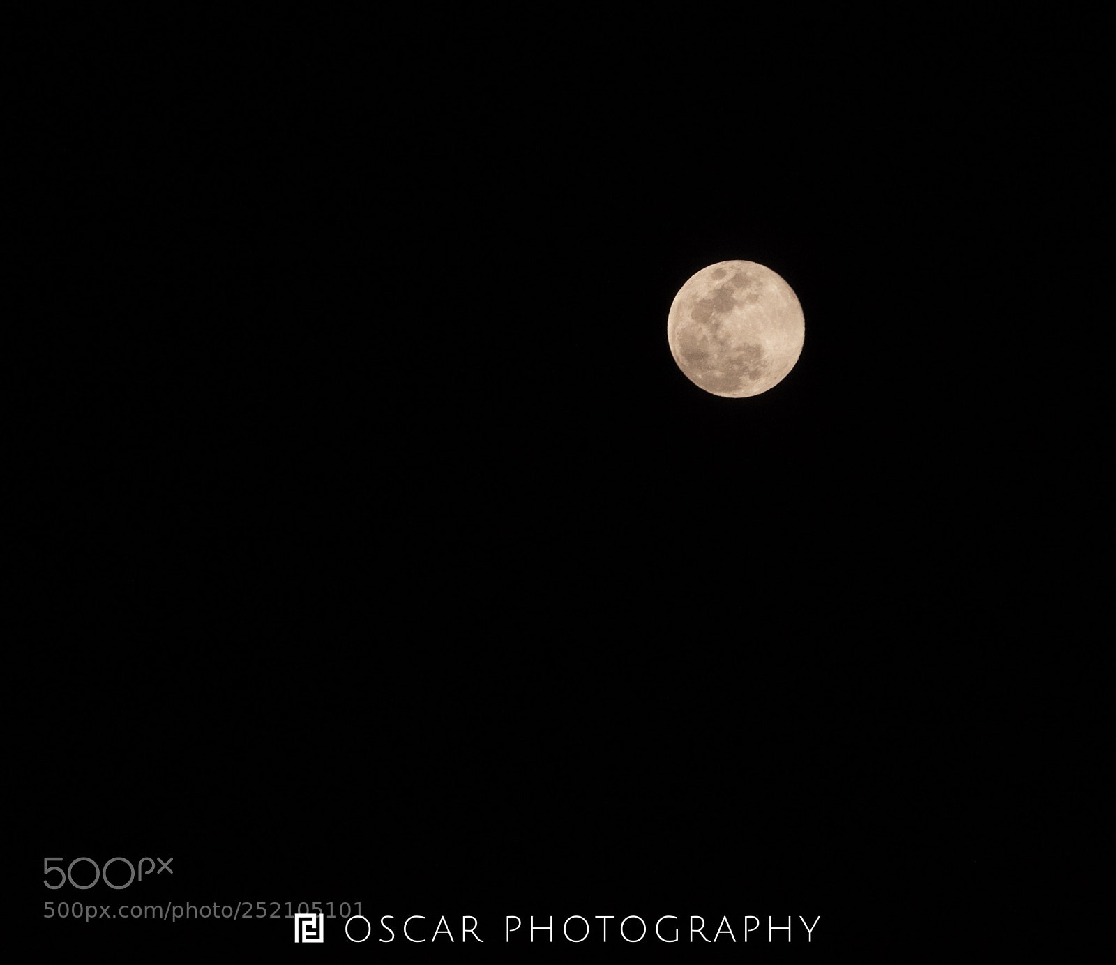 Nikon D810 sample photo. Untitled photography