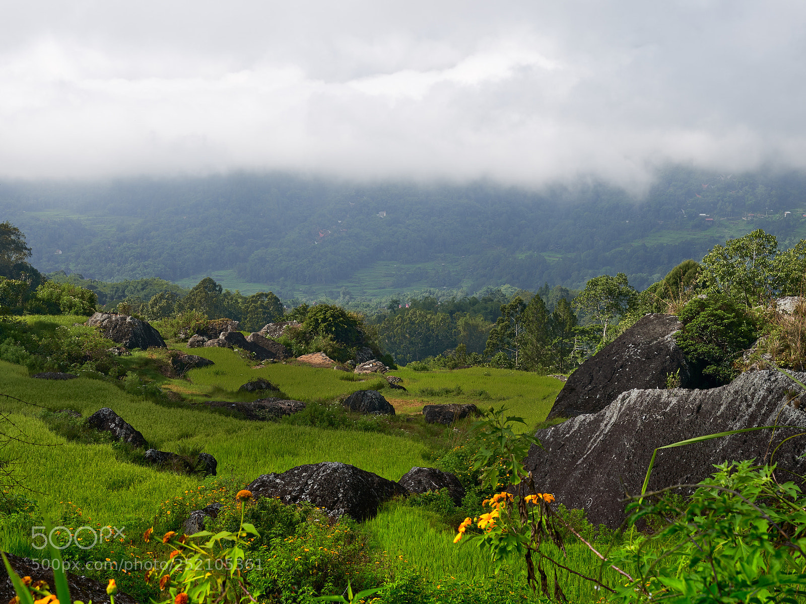 Sony a9 sample photo. Lithic photography