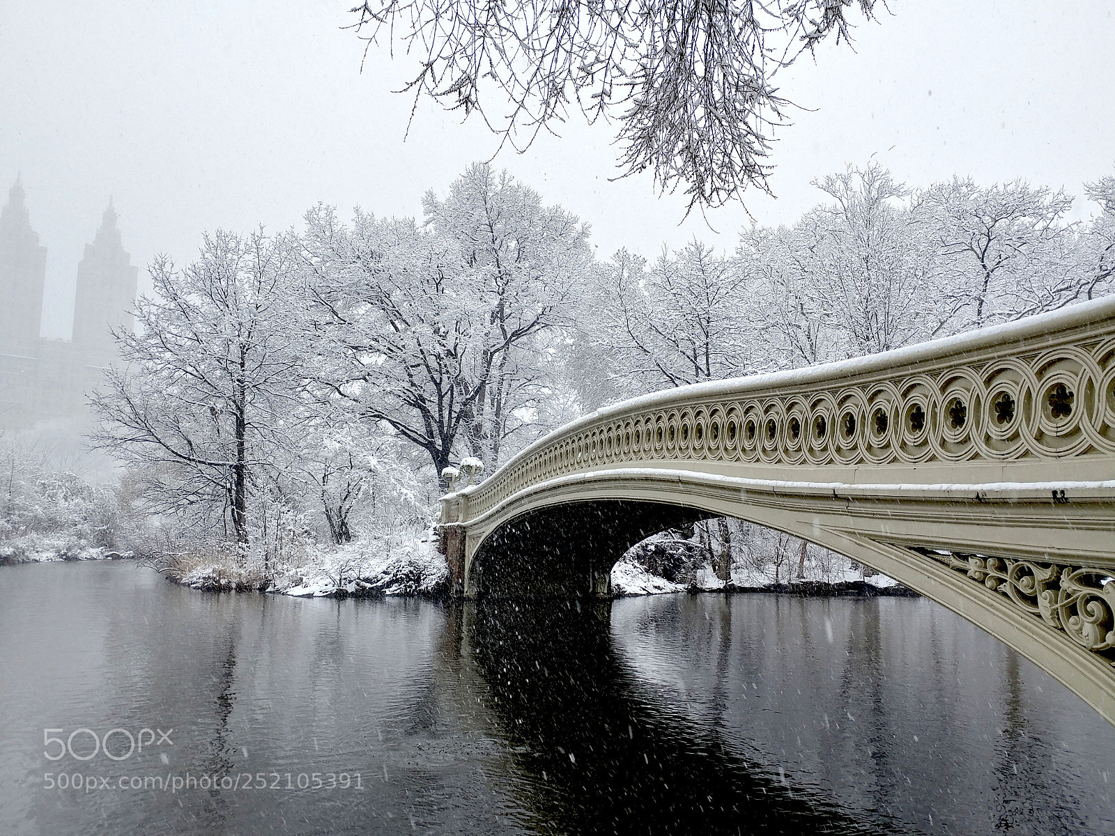 LG V20 sample photo. Central park in white photography
