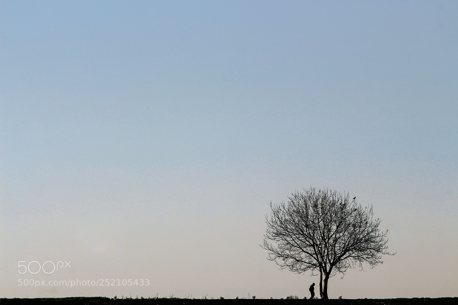 Canon EOS 700D (EOS Rebel T5i / EOS Kiss X7i) sample photo. E photography