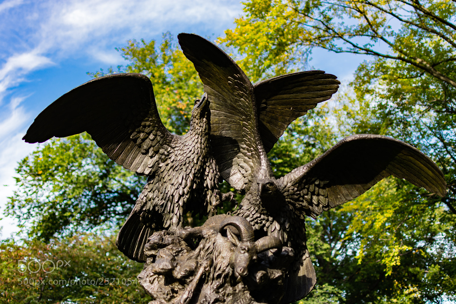 Nikon D3400 sample photo. Central park birds photography