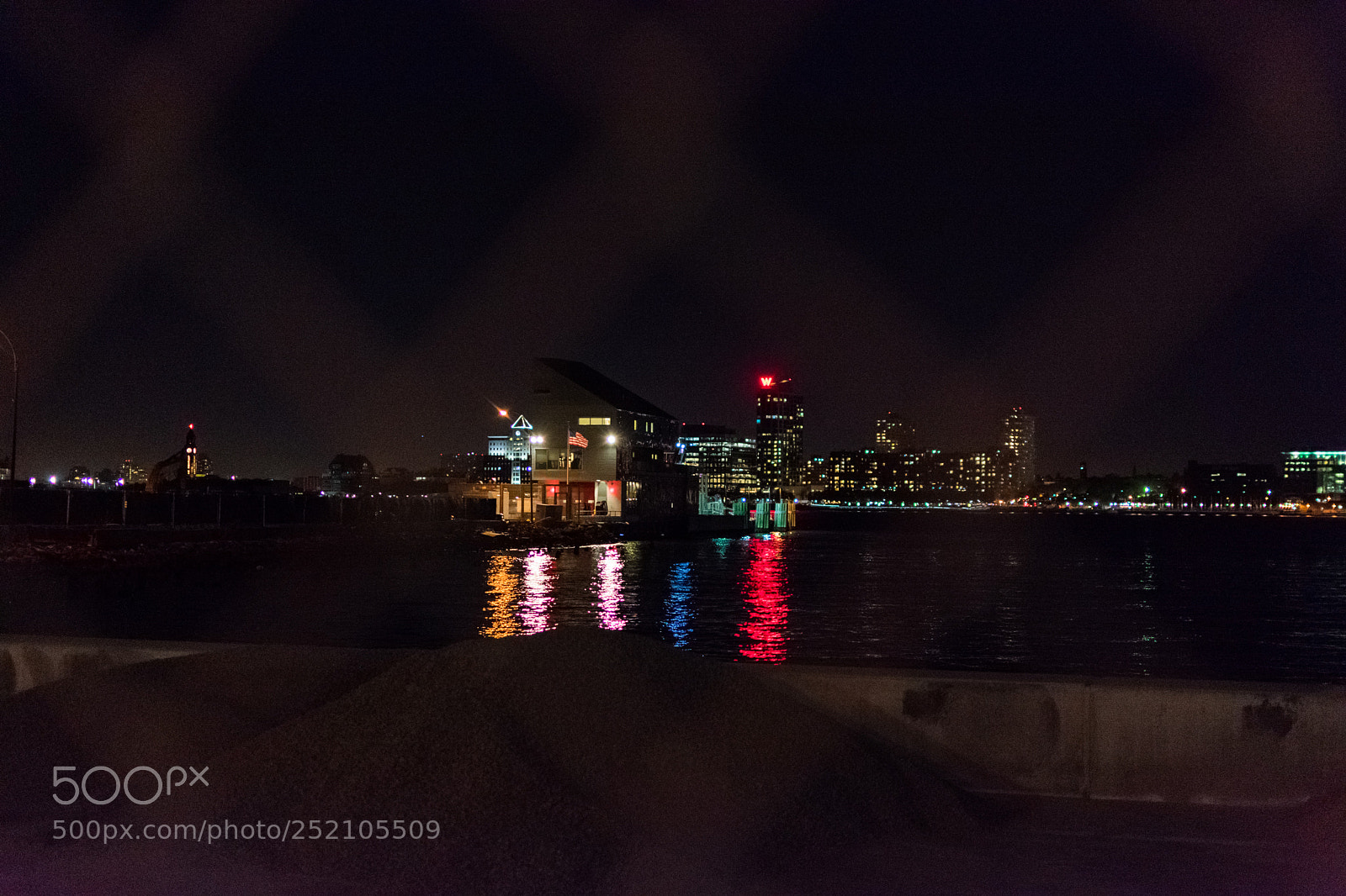 Nikon D3400 sample photo. Through the fence photography