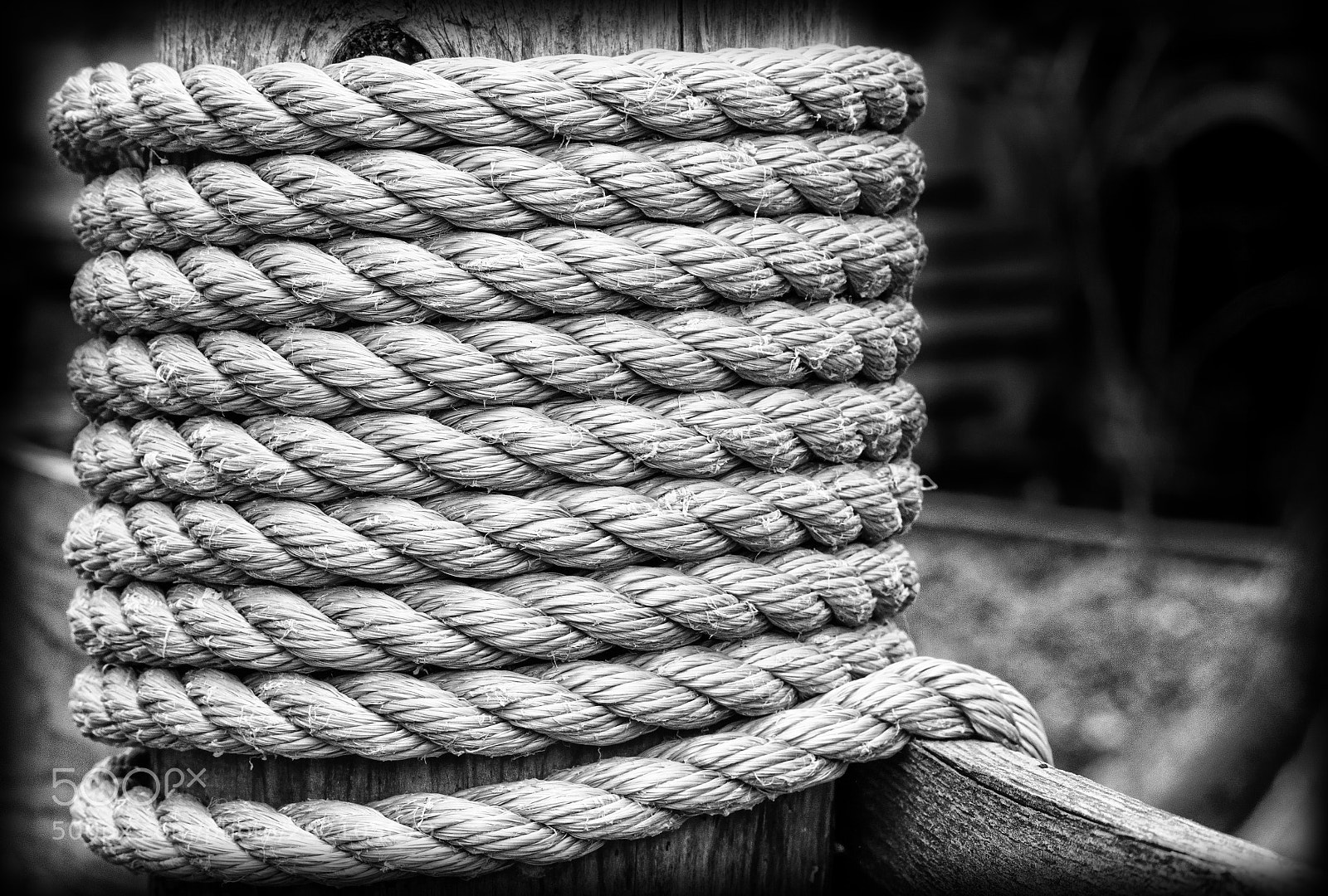 Nikon D3300 sample photo. The rope photography