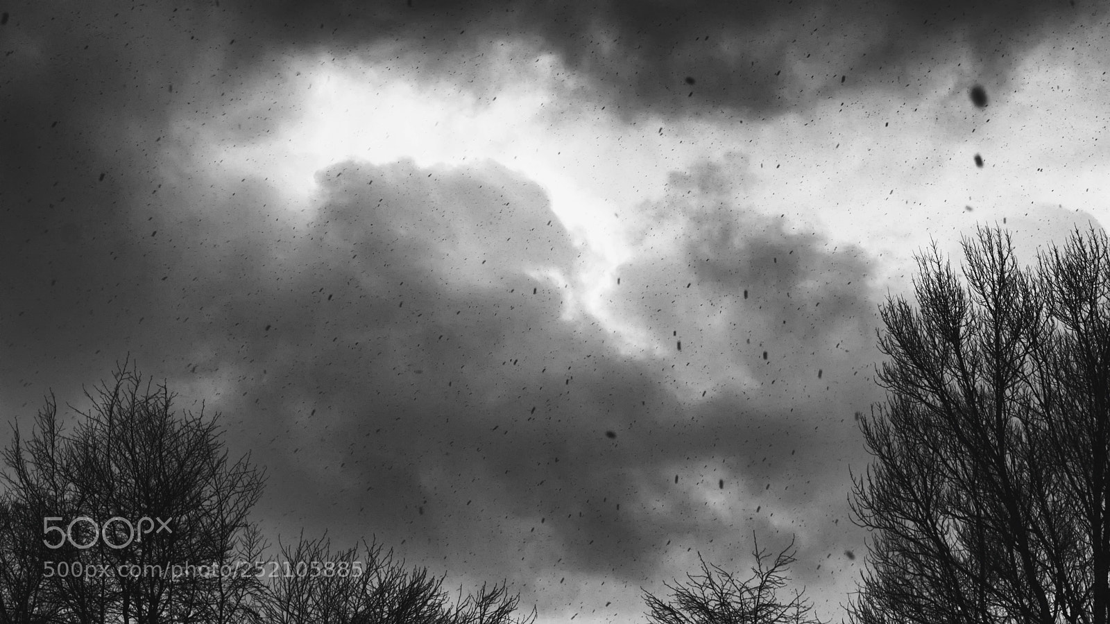 Nikon D3300 sample photo. Omen photography
