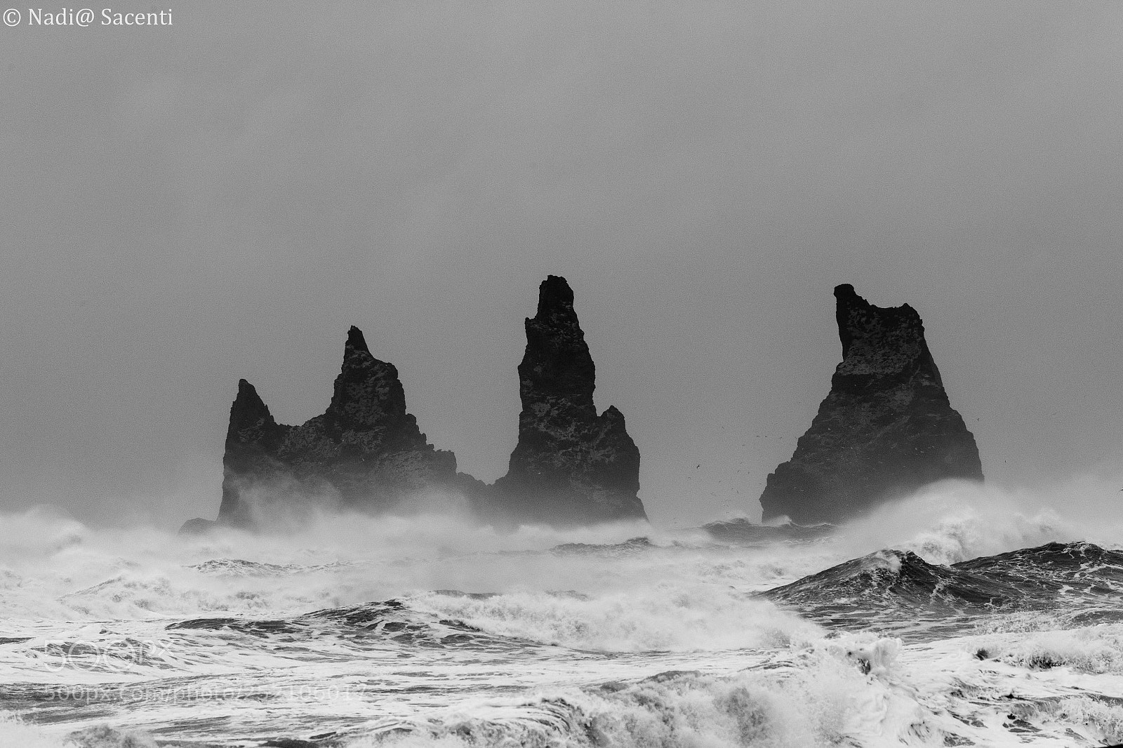 Canon EOS-1D X sample photo. Wind storm photography