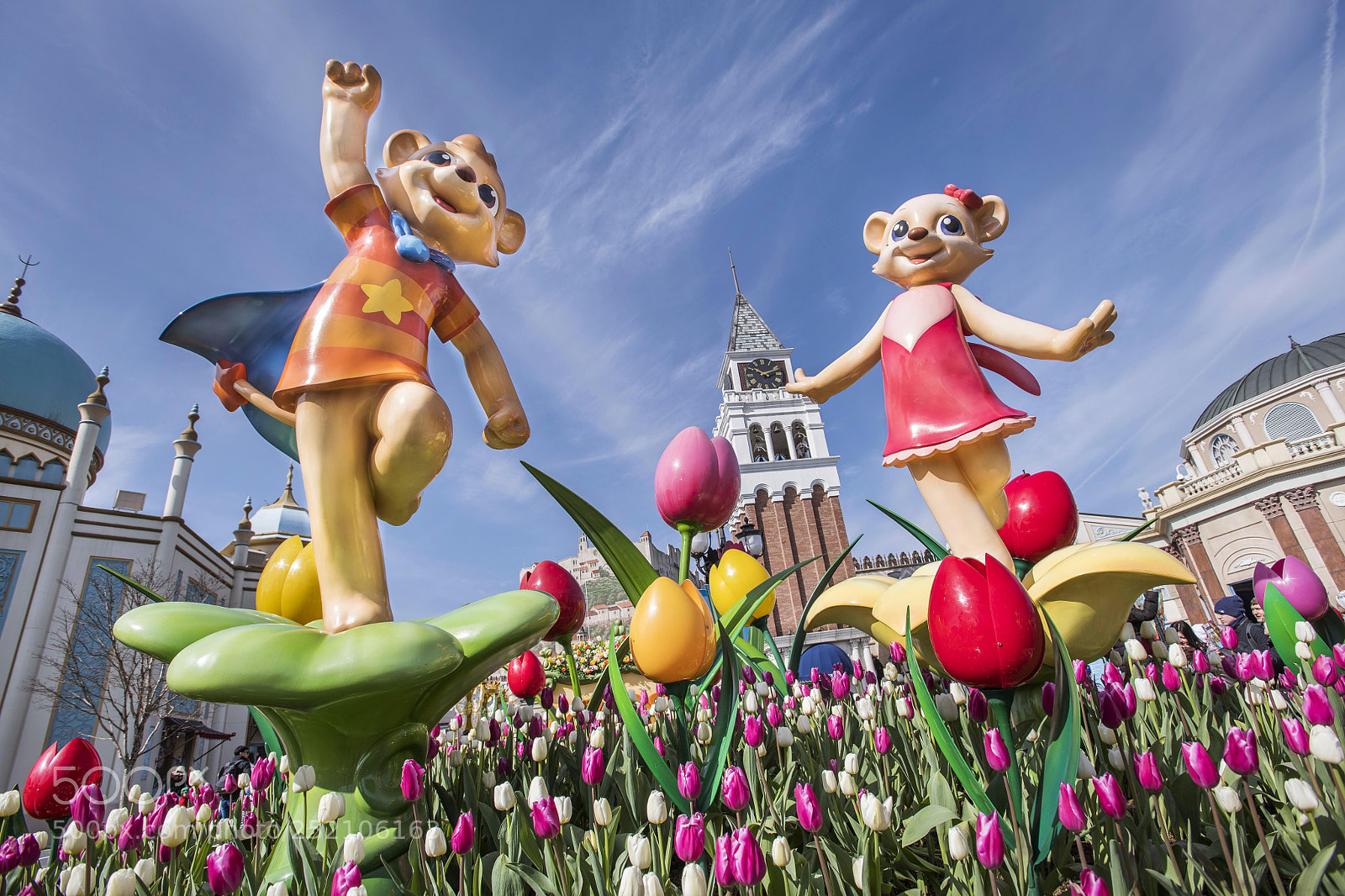 Nikon D850 sample photo. Tulip festival photography