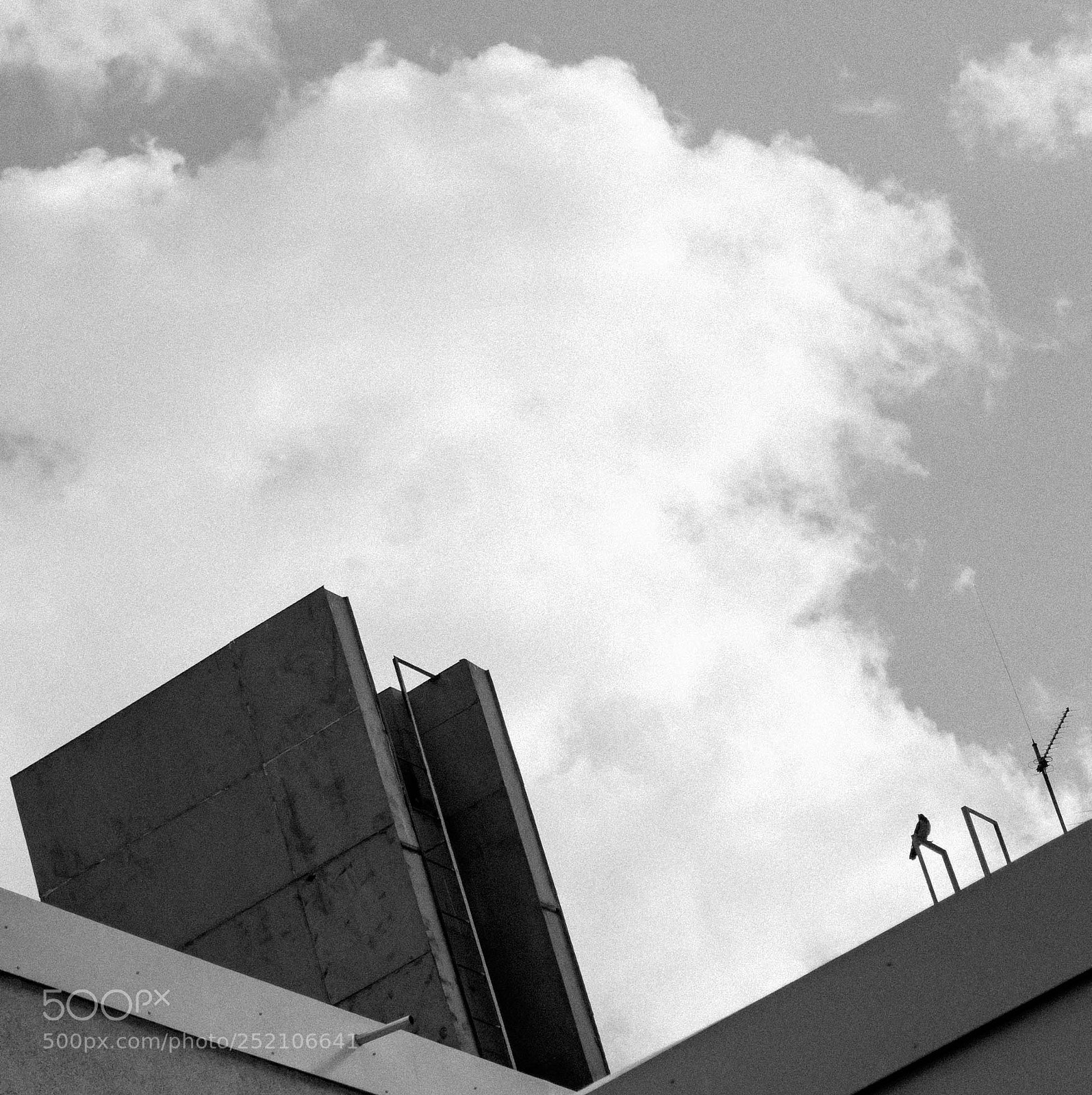 Nikon D3400 sample photo. Rooftops photography
