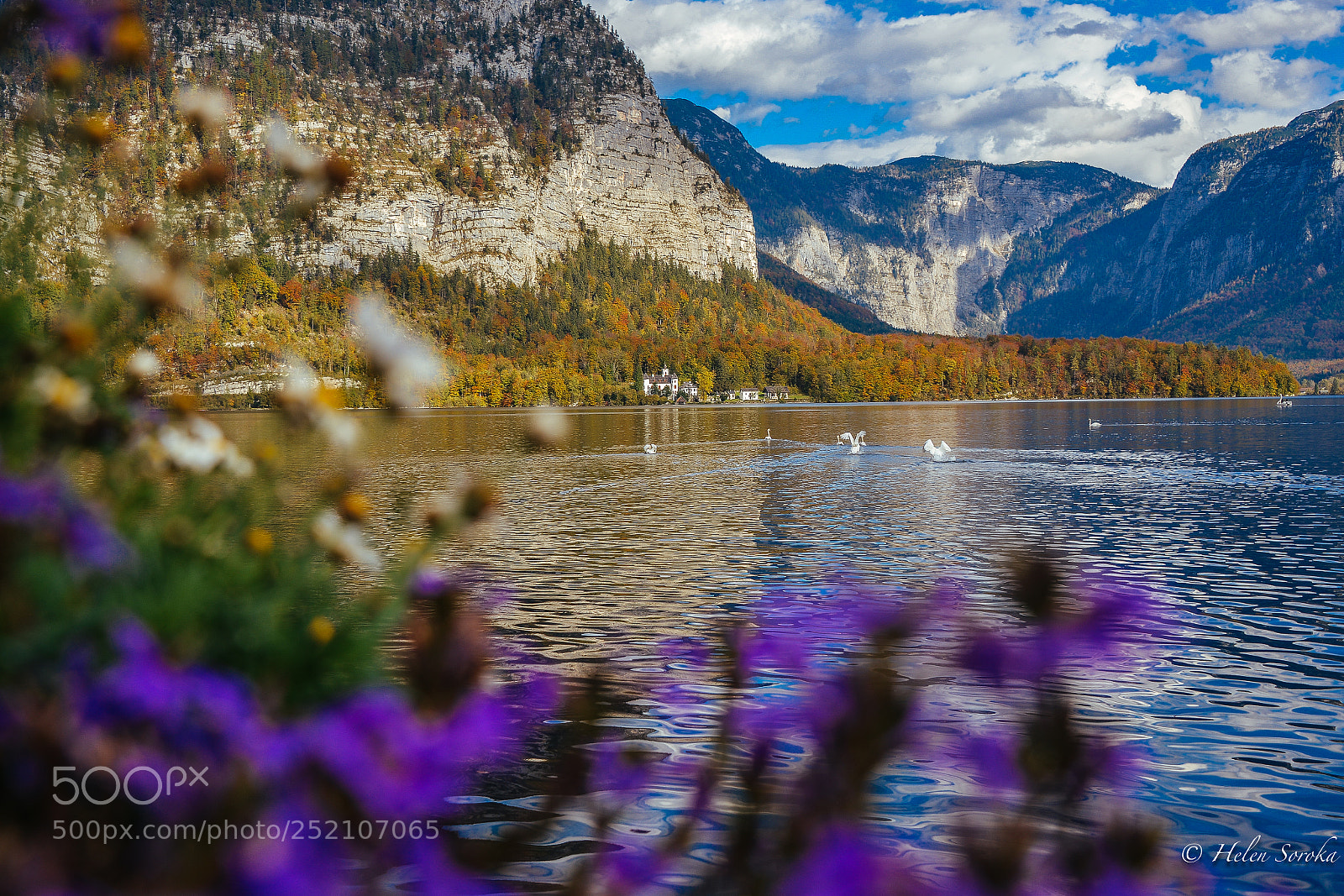Nikon D800 sample photo. Austria 2017 photography