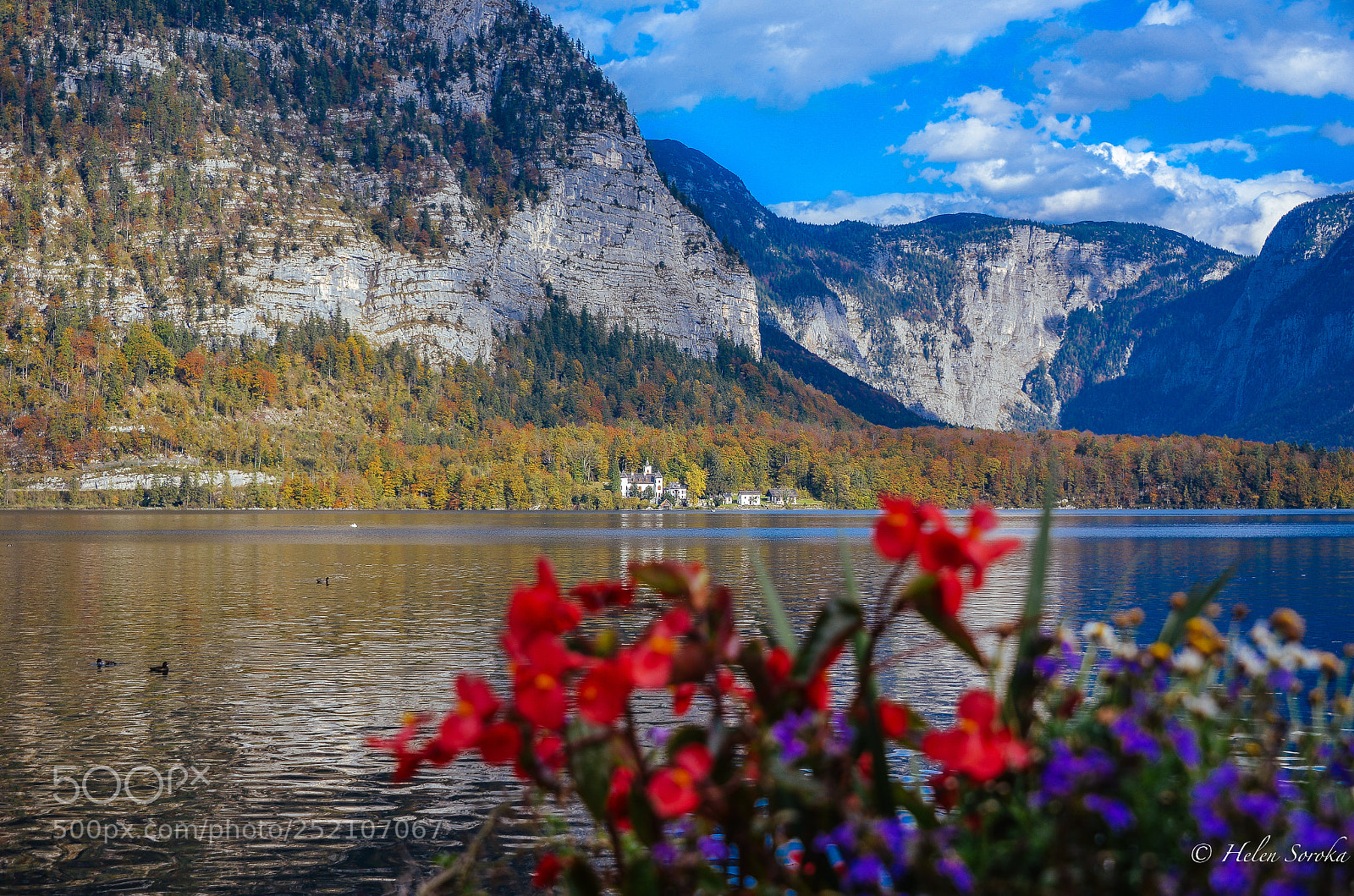 Nikon D800 sample photo. Austria 2017 photography