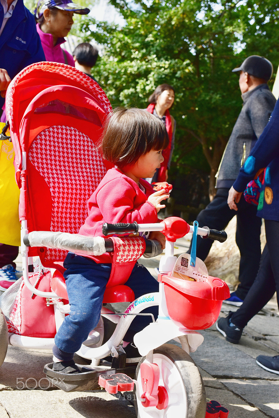 Nikon D810 sample photo. Stroll photography