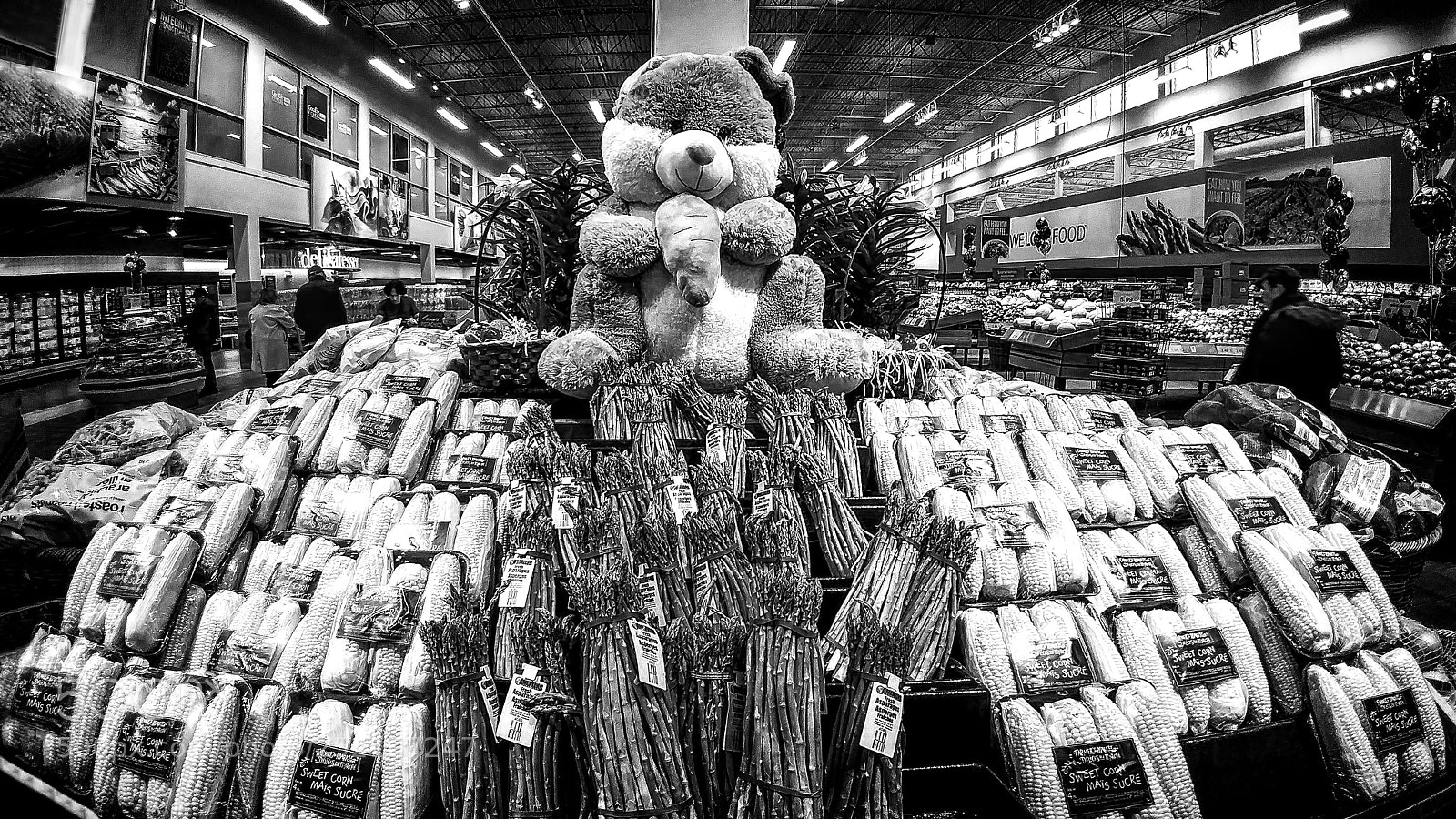 LG G5 sample photo. Vegan bunny photography