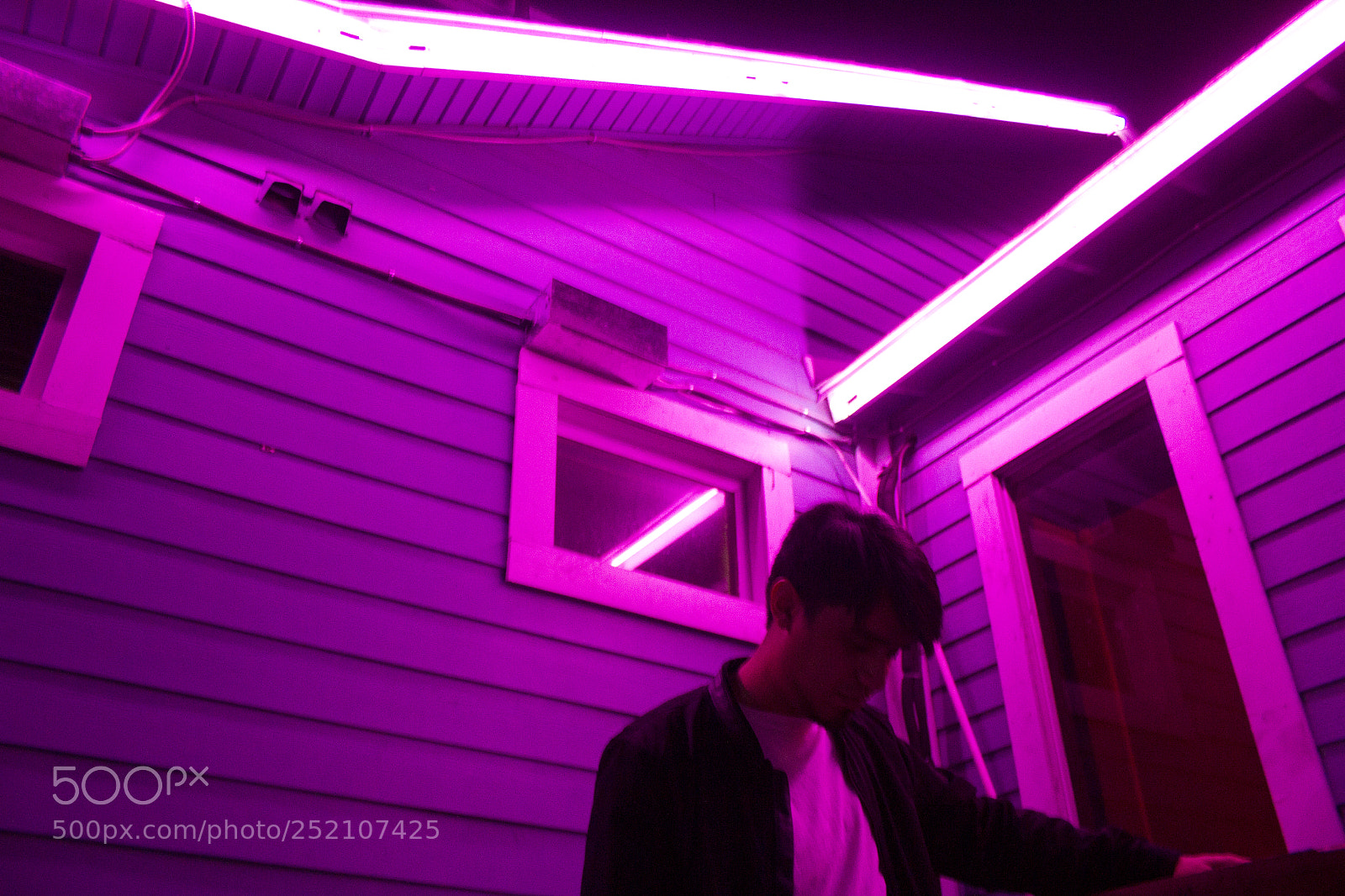 Canon EOS 60D sample photo. .neon sign photography