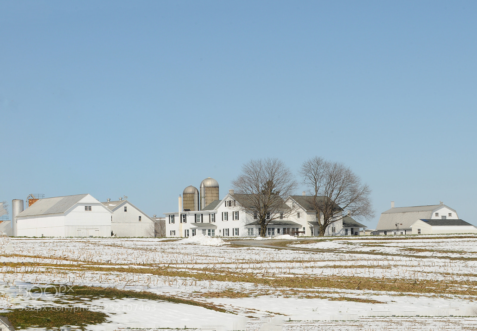 Nikon D300 sample photo. Amish farm photography