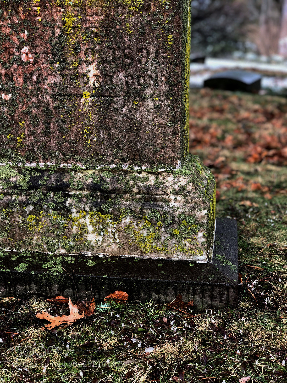 Apple iPhone 8 Plus sample photo. Cedar hill cemetery, ct photography
