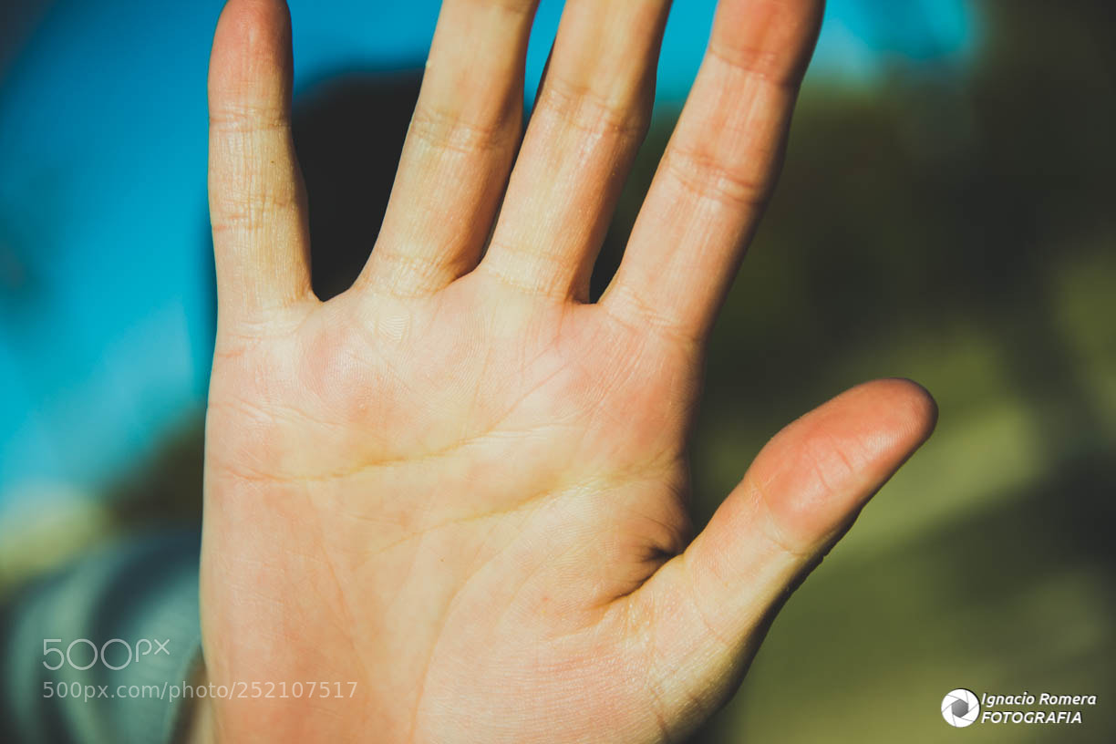 Nikon D7200 sample photo. Stop photography